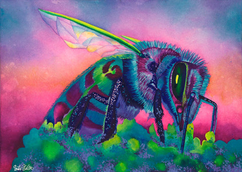 Blue Bee: Signed Print from original watercolor praying mantis painting.