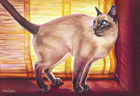 Bo: Signed Print from original watercolor cat painting.