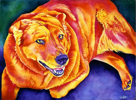 Bosco: Signed Print from original watercolor dog painting.