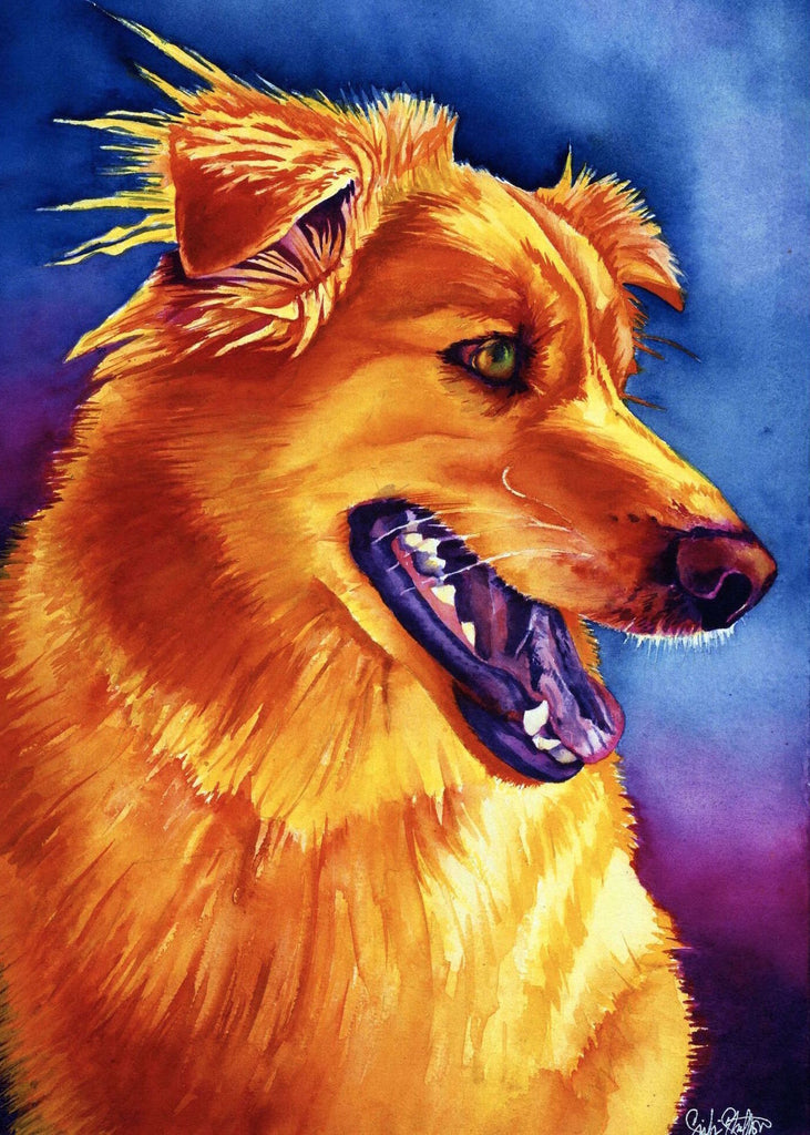 Chipper: Signed Print from original watercolor dog painting.