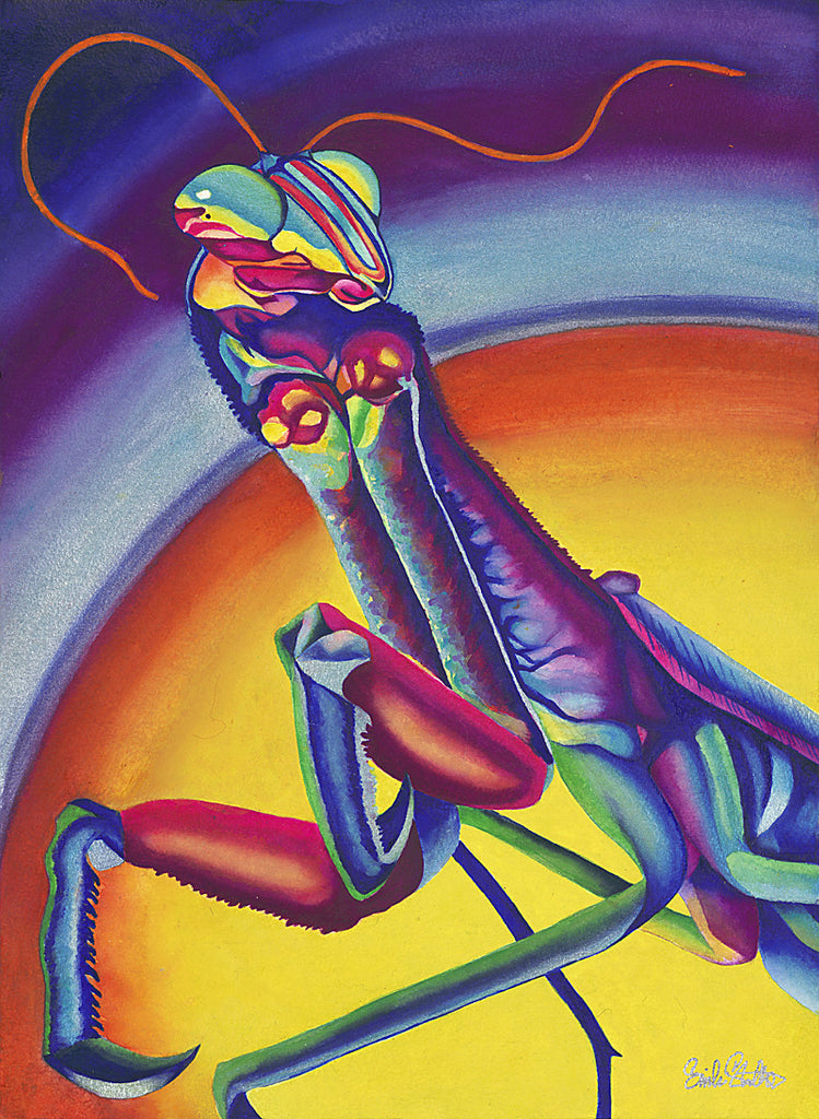 Emmy's Mantis: Signed Print from original watercolor praying mantis painting.