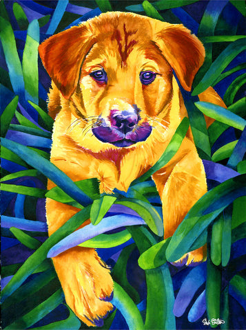 Harley: Signed Print from original watercolor shepherd puppy painting.