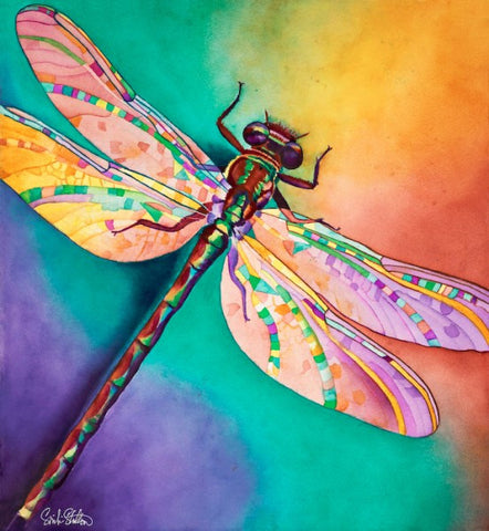 Illusion: Signed Print from original watercolor dragonfly painting.