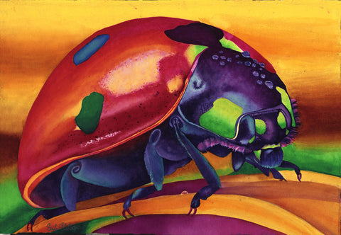 Lady Bug: Signed Print from original watercolor ladybug painting.