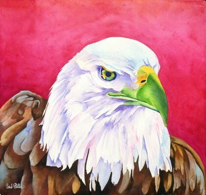 Focus: Signed Print from original watercolor bald eagle painting.
